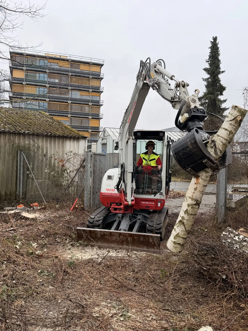 Bagger mit Greifer hebt einen Birkenstamm