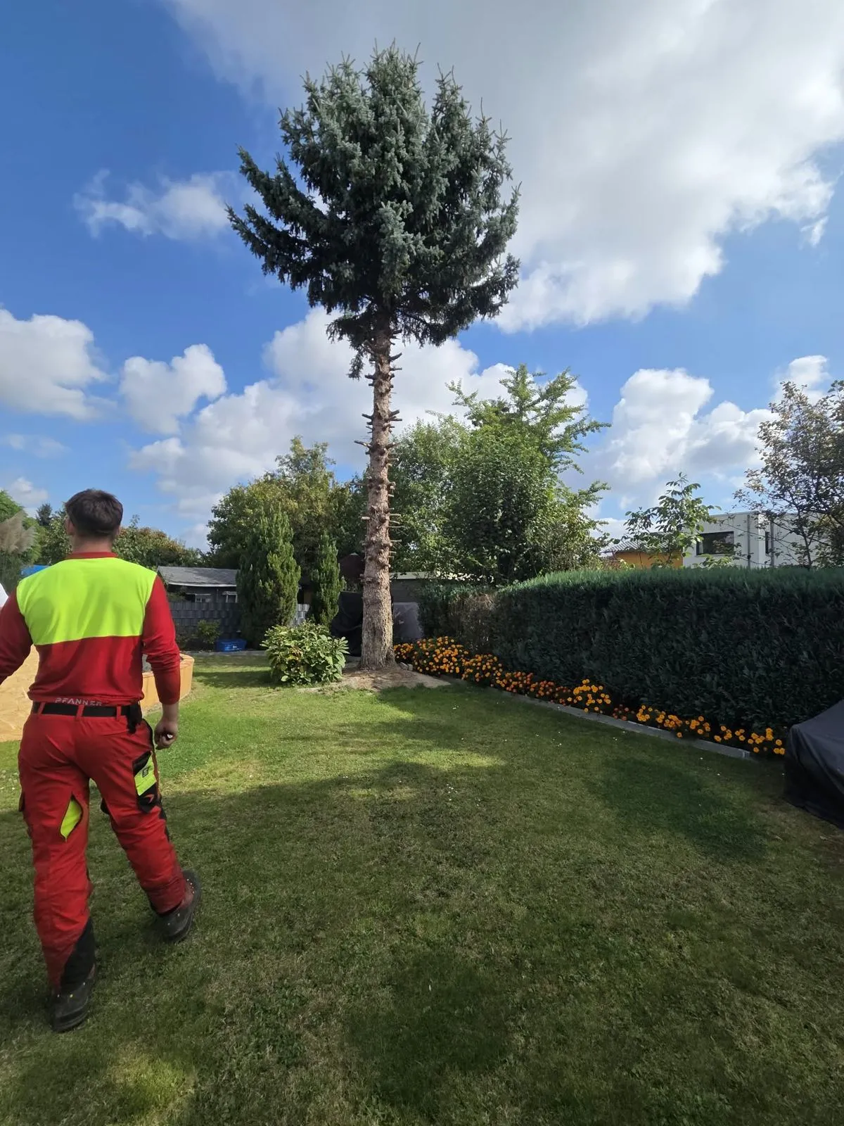 Mitarbeiter im Garten vor einem gekappten Baum