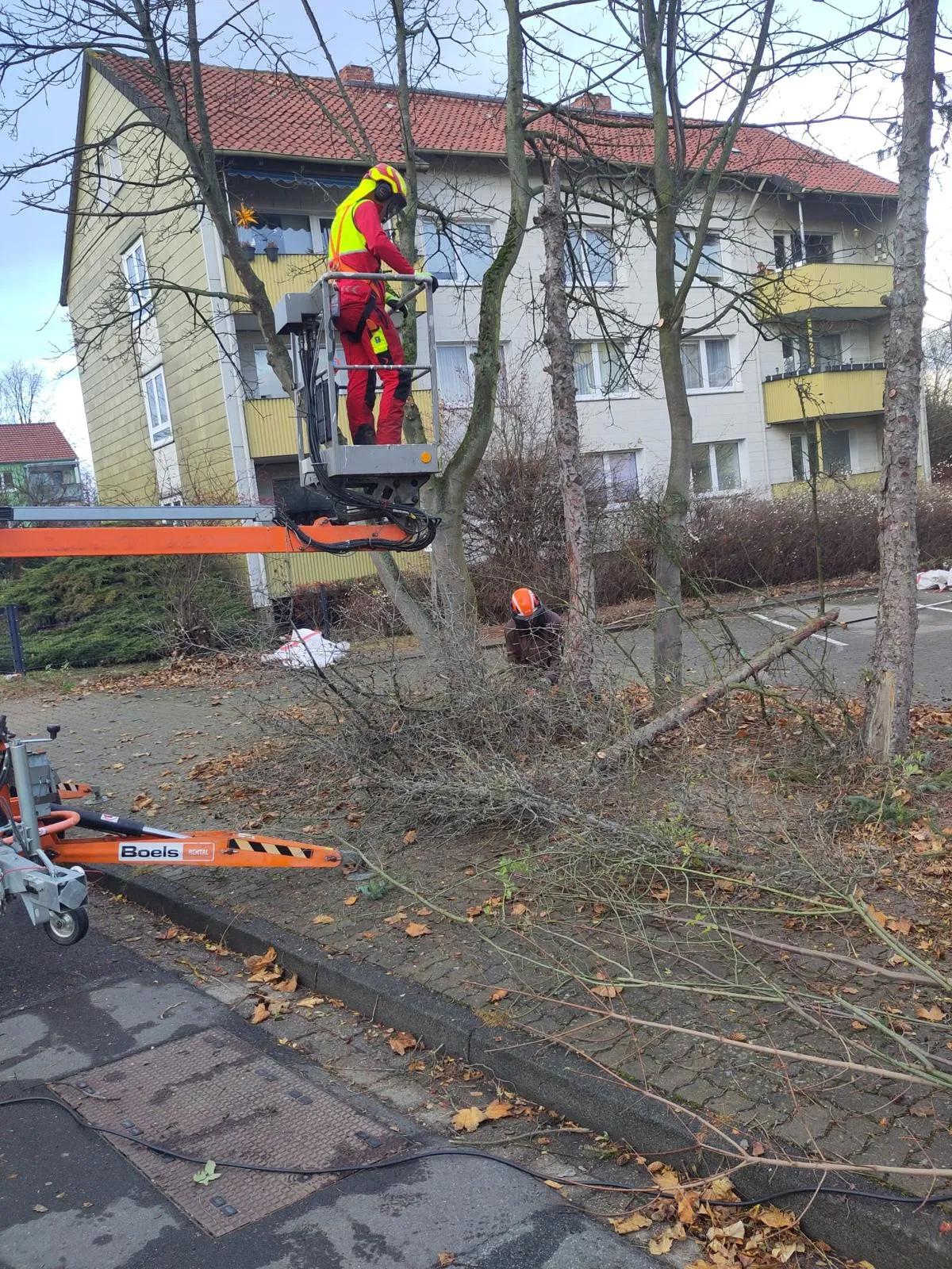 Hubsteiger an einem Baum neben einem Wohnhaus