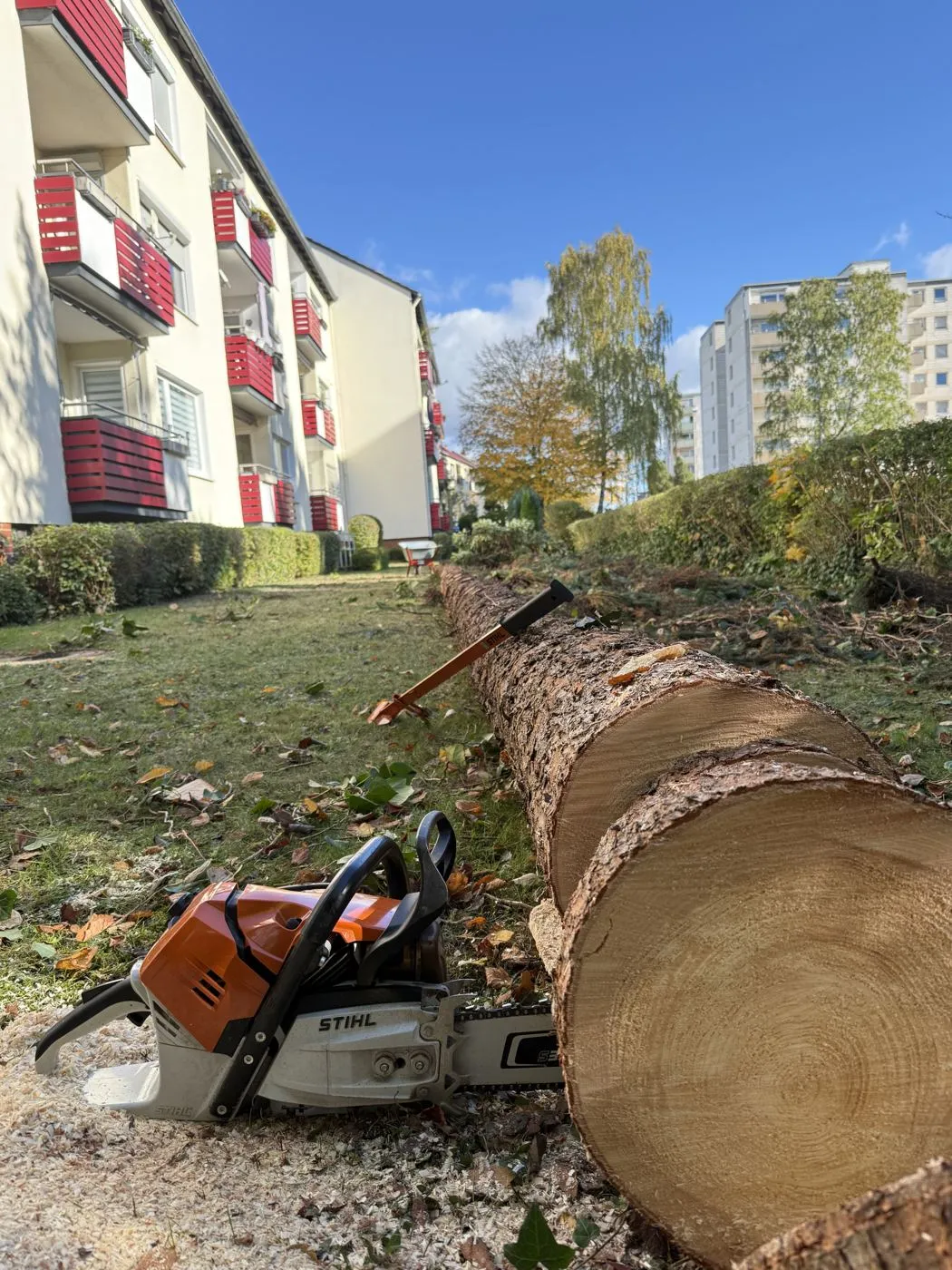 Gefällter Stamm mit Motorsäge im Hof einer Wohnanlage