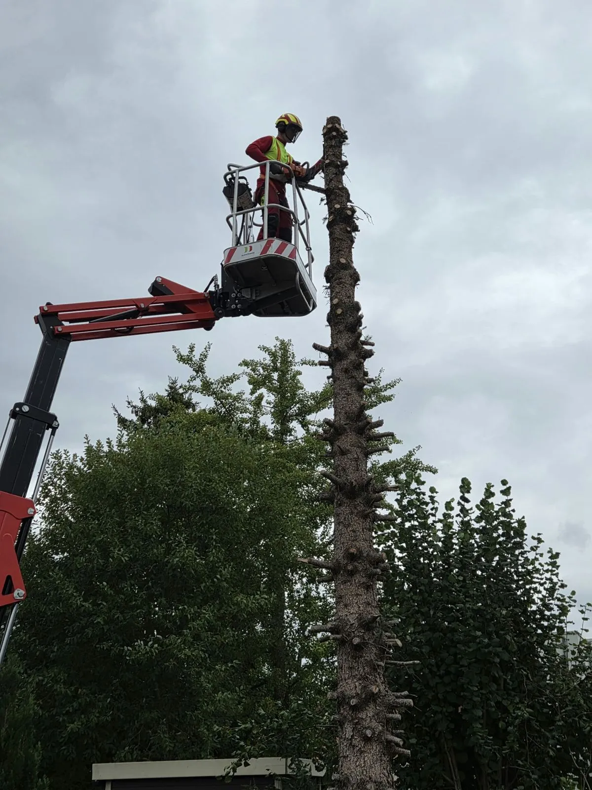Hubsteiger am letzten Stammstück